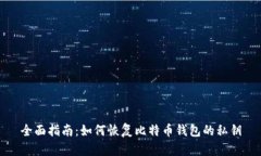 全面指南：如何恢复比特