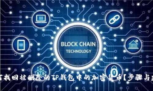 如何找回被删除的TP钱包中的加密货币？步骤与建议