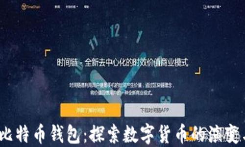 
11年比特币钱包：探索数字货币的演变与未来