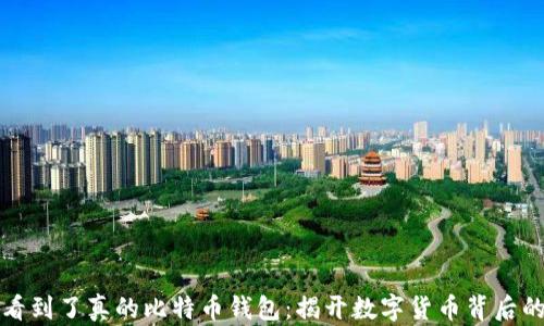 
终于看到了真的比特币钱包：揭开数字货币背后的秘密